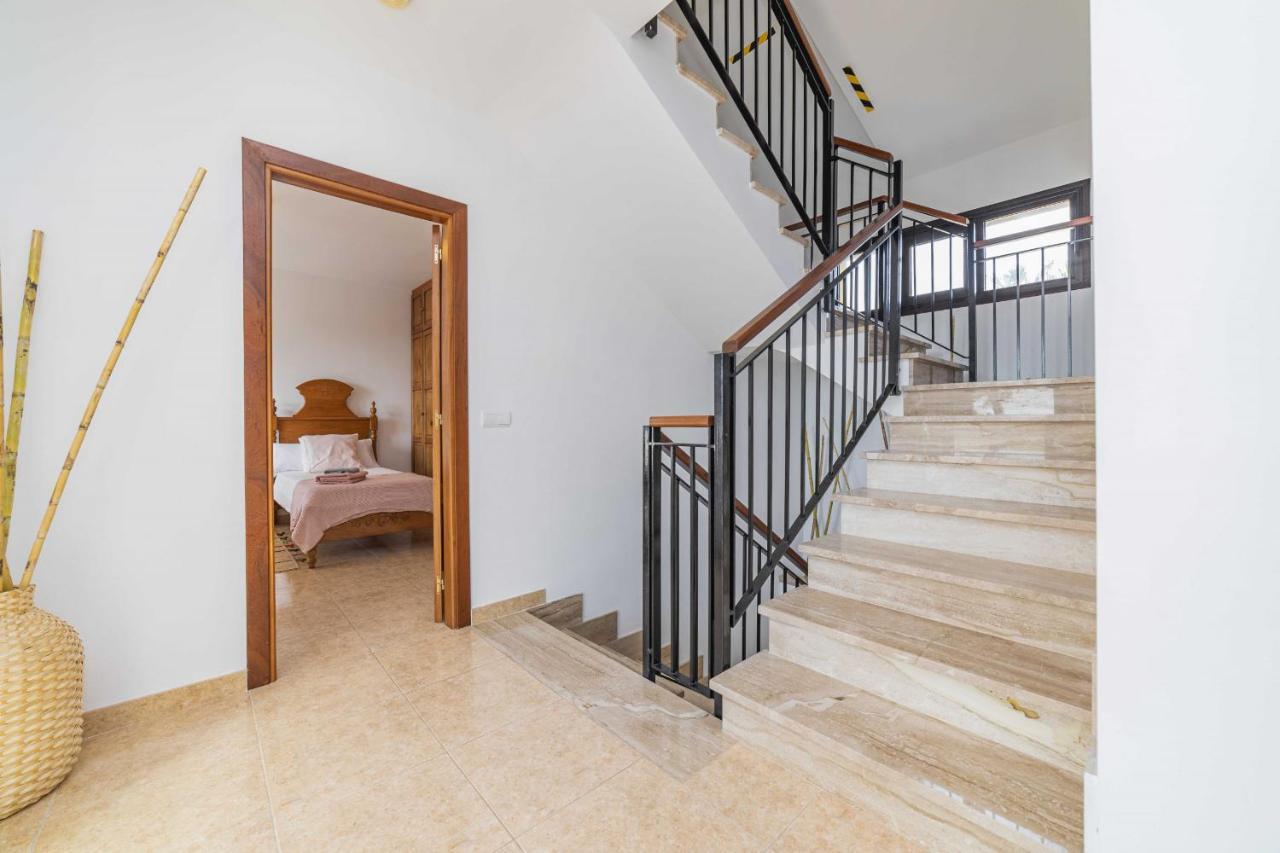 Semesterbostad Ibiza Alcudia (Mallorca)